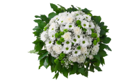 coussin-de-fleurs