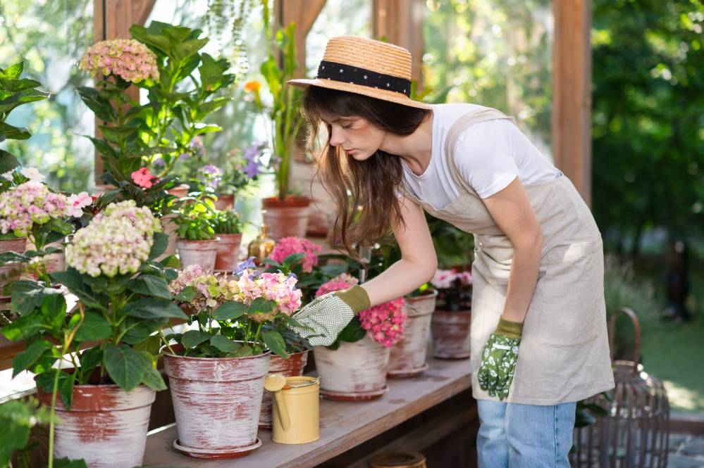Jardinière à Thourotte